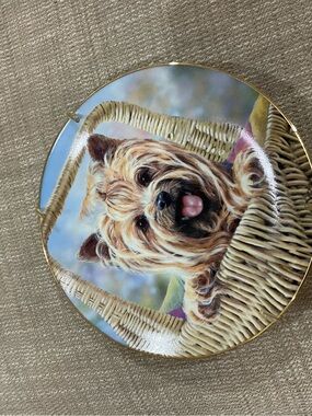 Limited Edition The Danbury Mint Yorkshire Terrier Dog Plate
